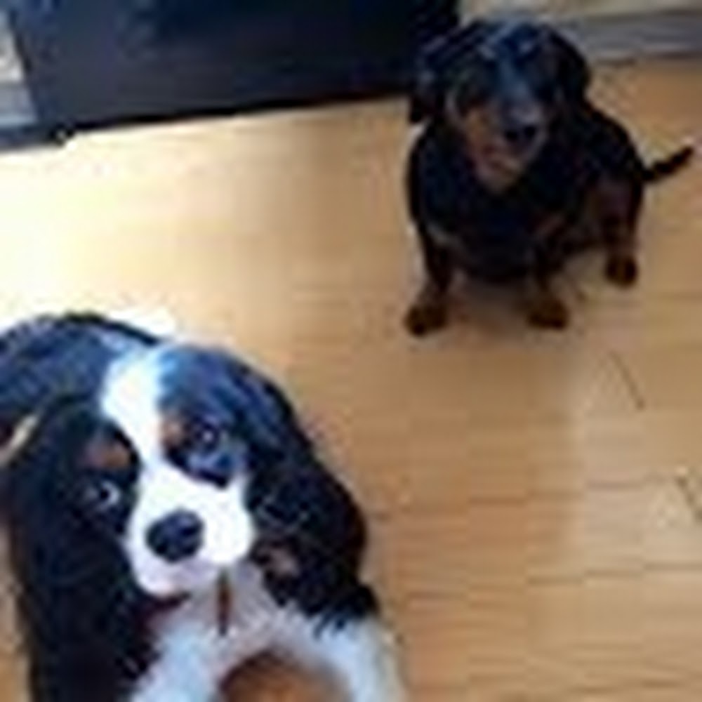 Meet your Posher, Carla